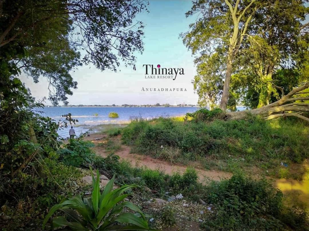 Thinaya Lake Resort Anuradhapura Kültér fotó